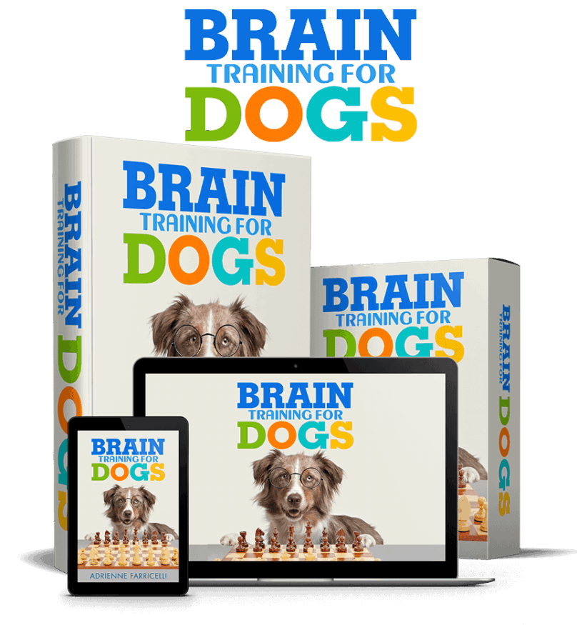 Dog Training Program